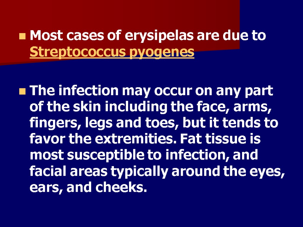 Most cases of erysipelas are due to Streptococcus pyogenes The infection may occur on
